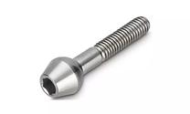 Sraigtas, sėdynės strypui Newmen Hex M6x30 TL10.5, titanas, sidabro sp.