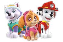 Sieninis lipdukas Nickelodeon Paw Patrol, įvairių spalvų