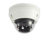 Kupolinė kamera LevelOne FCS-3306