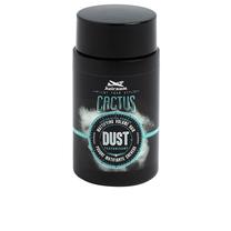 Matu pūderis HairGum Cactus Dust Mattifying And Volumizing, 15 g