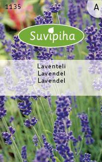 Seemned Horticom lavendel, 0.3 g