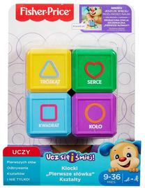 Konstruktors Mattel Fisher Price, 4 gab.