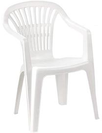 Lauko kėdė Progarden Lyra, balta sp., 54 cm x 56 cm x 80 cm