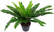 Искусственное растение в горшке Home4you Boston Fern, черный цв./зеленый цв., 60 см