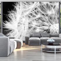 Fototapete Artgeist Black And White Dandelion, 140 cm x 200 cm