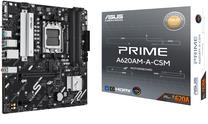 Emaplaat Asus PRIME A620AM-A-CSM