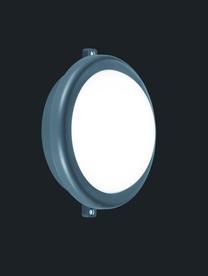 Valgusti rippuv Reality Hamal R62311142, LED, 3000 °K, 1 x 12 W, valge v. / hall v.