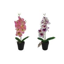 Dirbtinė gėlė vazone, orchidėja, įvairių spalvų, 35 cm