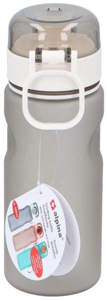 Sporta pudeles un šeikeri Alpina, pelēka krās., plastmasa, 0.6 l