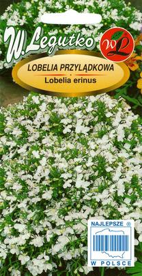 Sėklos lobelija