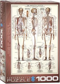 Dėlionė Eurographics The Skeletal System 6000-3970, 48.9 cm x 67.6 cm, 1000 vnt.