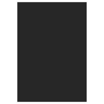 Kilimas vidaus Ayyildiz SKY2002905400BLACK, juoda sp., 290 cm x 200 cm