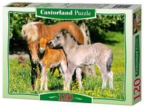 Dėlionė Castorland, 120 vnt.