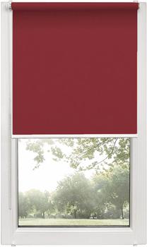 Ritininė užuolaida Mini, bordo sp., 65 cm x 150 cm