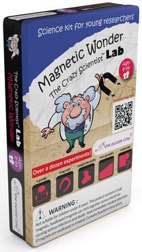 Магнитная игрушка Purple Cow Scientific Lab Magnetic Wonder, многоцветный