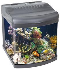 Akvariumas Boyu Mini MT-402, pilka sp., su įranga, 32 l