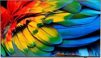 Televizorius Philips MediaSuite 58HFL6214U/12, 58 ", 4K UHD