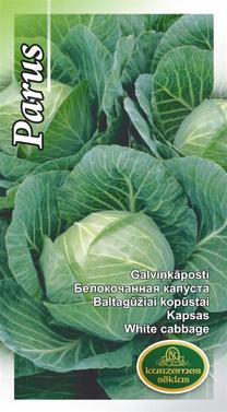 Sēklas, kāposti