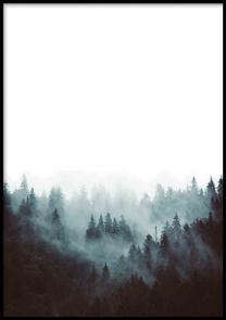 Pilt DecoKing Mist, 70 cm x 100 cm