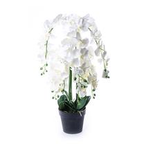 Dirbtinė gėlė vazone, orchidėja, įvairių spalvų, 81 cm