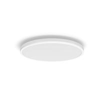 Valgusti plafoon Philips Ozziet 929003196701, LED, 4000 °K, 1 x 22 W, valge v. / valge v.