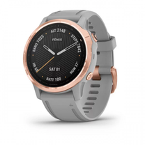 Išmanusis laikrodis Garmin Fenix 6S Sapphire, aukso sp.