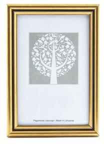 Nuotraukų rėmelis ECO 1301112, 40 cm x 30 cm, aukso sp.