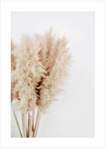 Фотокартина Pampas Grass Bouquet, 50 см x 70 см