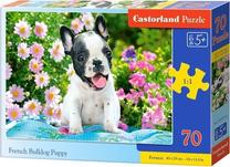 Puzle Castorland French Bulldog Puppy 477120, 29 cm x 40 cm, 70 gab., daudzkrāsaina