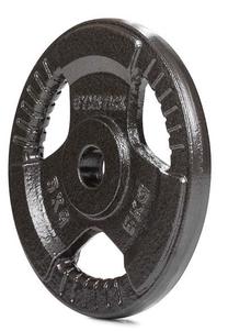 Diskinis svoris Gymstick Iron x 5 kg