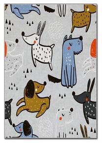 Kilimas Conceptum Hypnose ASR 6, pilka sp./įvairių spalvų, 140 cm x 80 cm