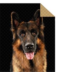 Lovatiesė German Shepherd NHLA-37, ruda sp./juoda sp., 170 cm x 210 cm