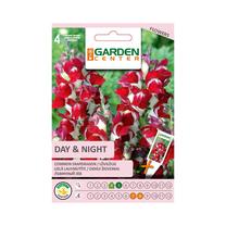 Sėklos Garden Center žioveinis Day & Night, 0.2 g