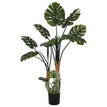 Dirbtinis augalas vazone, monstera, žalia sp., 160 cm