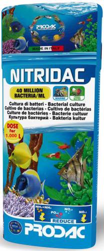 Antibakteriāls līdzeklis Prodac, 0.1 l