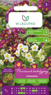 Sėklos raktažolė MIX, 0.1 g