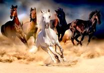 Fototapete Artgeist Madness XLFT1827SAM, 175 cm x 245 cm