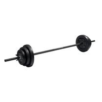 Svorių ir grifų rinkinys Iron Gym V20, 20 kg