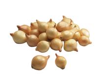 Istik Stuttgarter, 0.4 kg