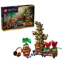 Konstruktorius LEGO® Harry Potter™ Hogvartso herbalogijos augalai 76474, 817 vnt.