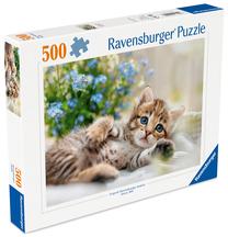 Dėlionė Ravensburger Playful Kitten, 36 cm x 49 cm, 500 vnt., įvairių spalvų