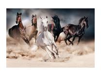 Фотокартина Horses, 120 см x 80 см