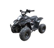 Квадроцикл BS110-2, 5.5 кВт