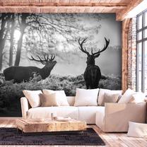 Fototapete Artgeist Deers In The Morning 2XLFT1899, 210 cm x 300 cm