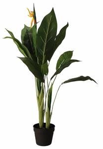 Искусственное растение Homla Ailia Strelitzia, зеленый цв., 100 см