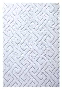 Kilimas vidaus Ayyildiz Vision, sidabro sp., 200 cm x 140 cm