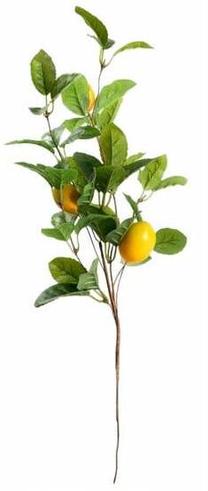 Dirbtinė šakelė Homla Citrus, žalia sp., 65 cm