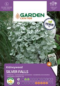 Sėklos Garden Center dichondra SILVER FALLS, 5 vnt.