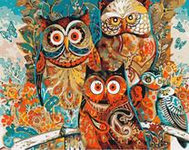 Tapymas pagal skaičius Paint it! Owls, įvairių spalvų