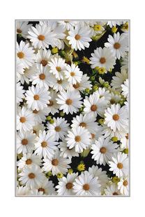Kilimas vidaus Conceptum Hypnose HMNT521, įvairių spalvų, 80 cm x 50 cm